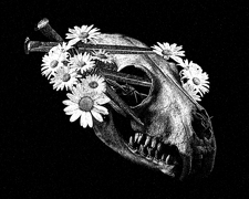 littledaisieschains Home