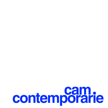 cam.contemporarie Home