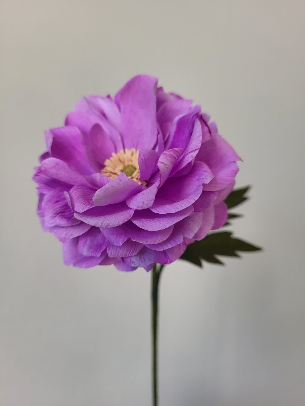 Slideshow image 10