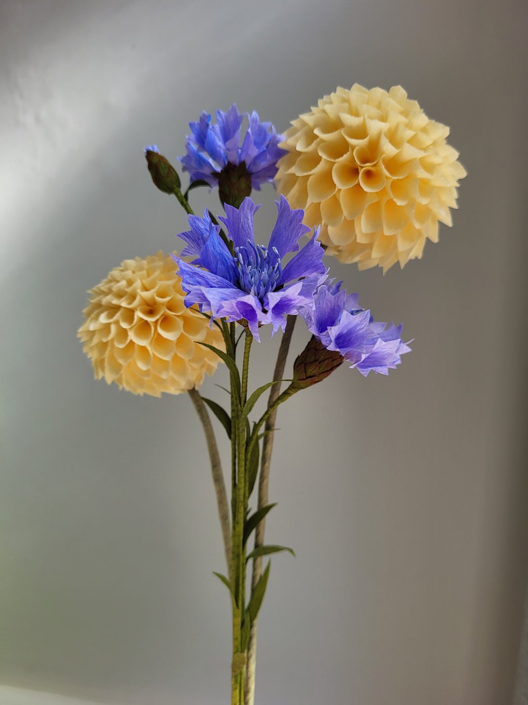 Slideshow image 11