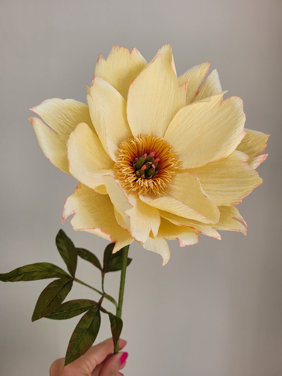 Slideshow image 13