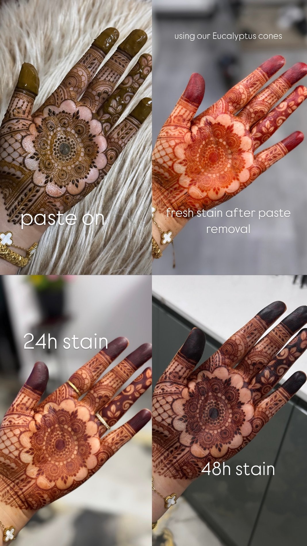 Slideshow image 3