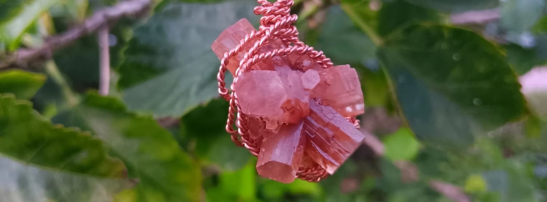 Slideshow image 5