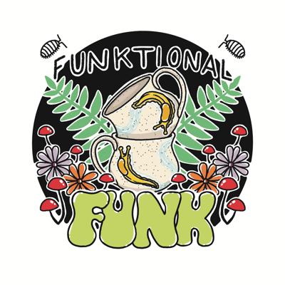 Funktional Funk