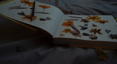 Slideshow image 9
