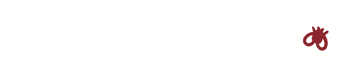 Beetlemother Home