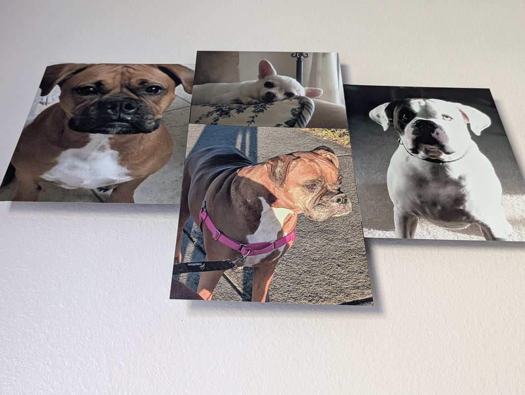 Slideshow image 5