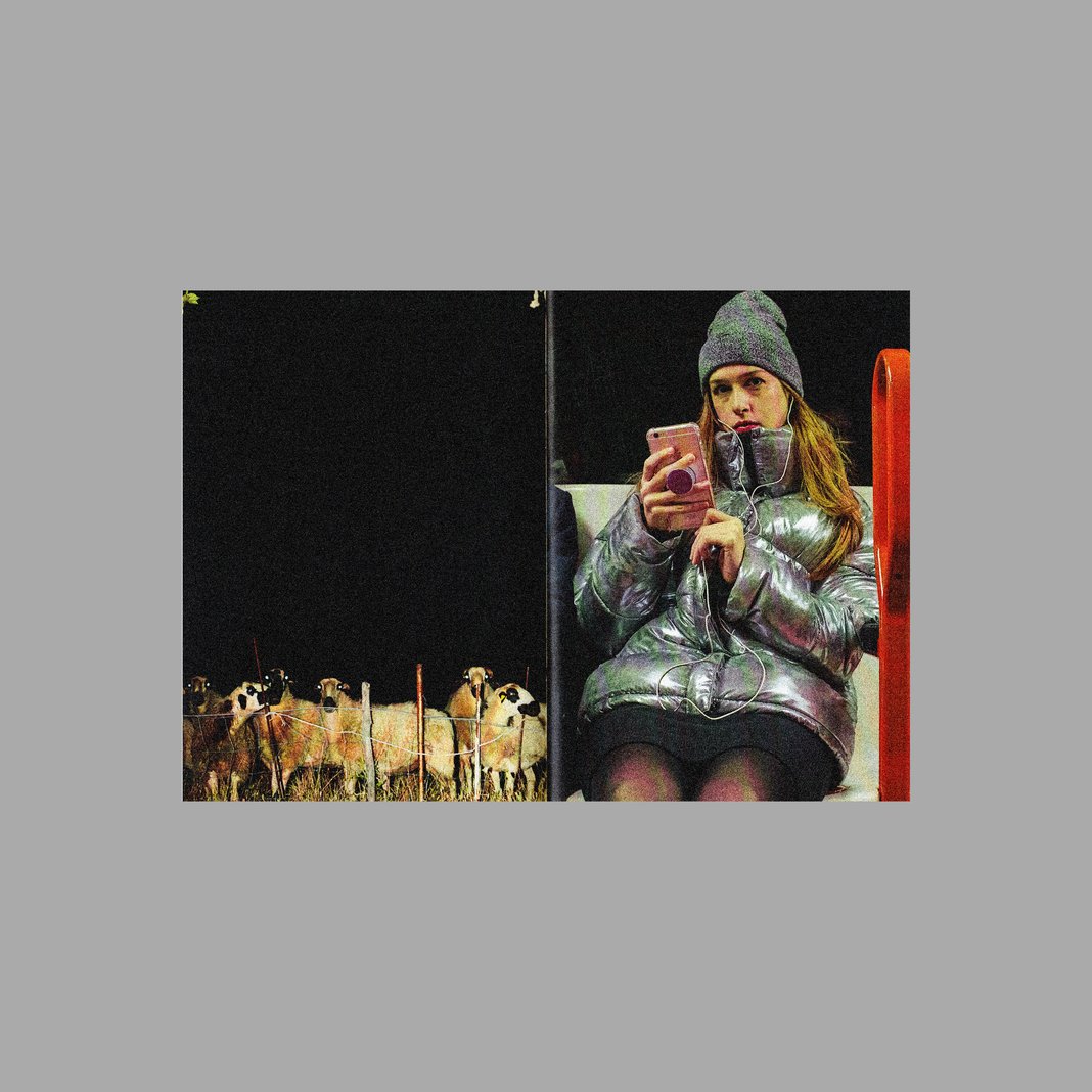 Slideshow image 13
