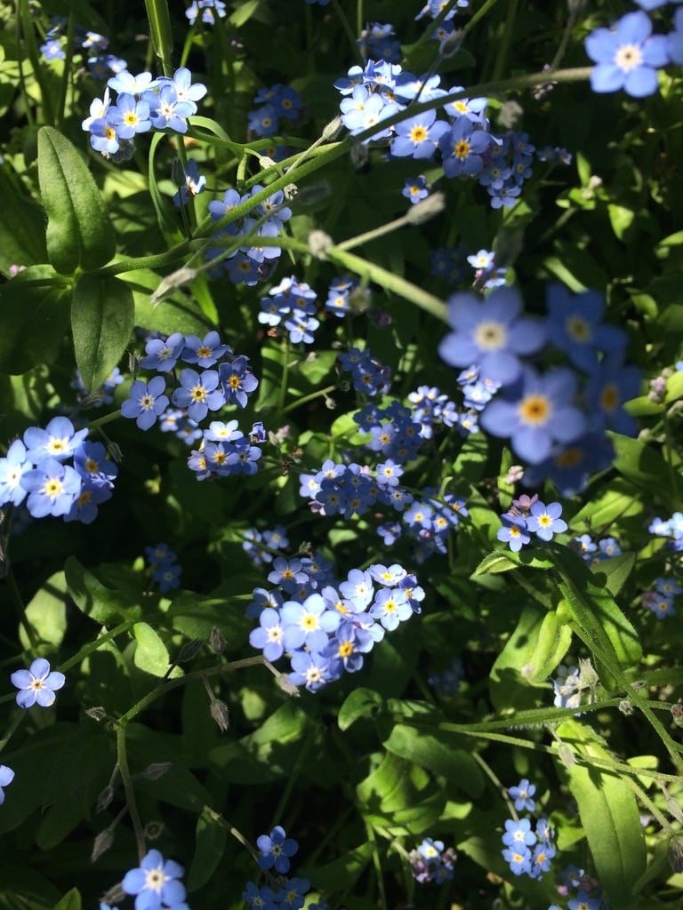 Slideshow image 1