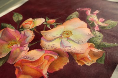 Slideshow image 1