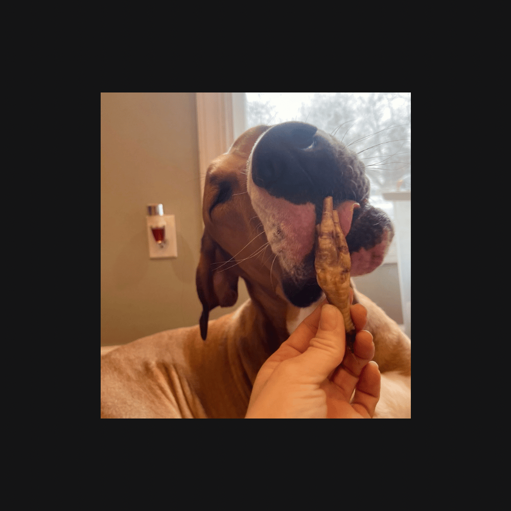 Slideshow image 6