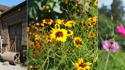 Slideshow image 2