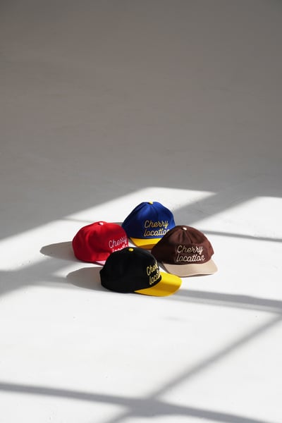 Slideshow image 5