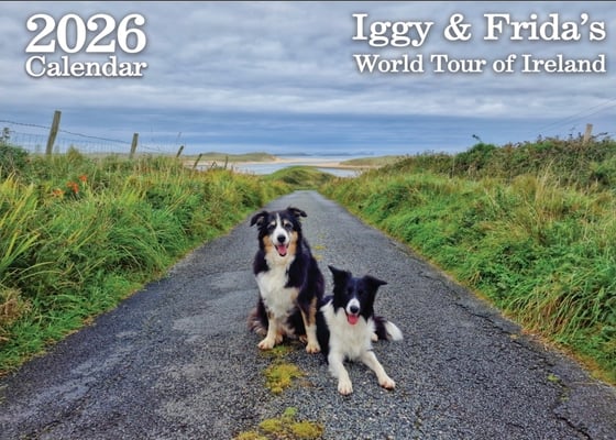 James, Iggy and Frida.  Home