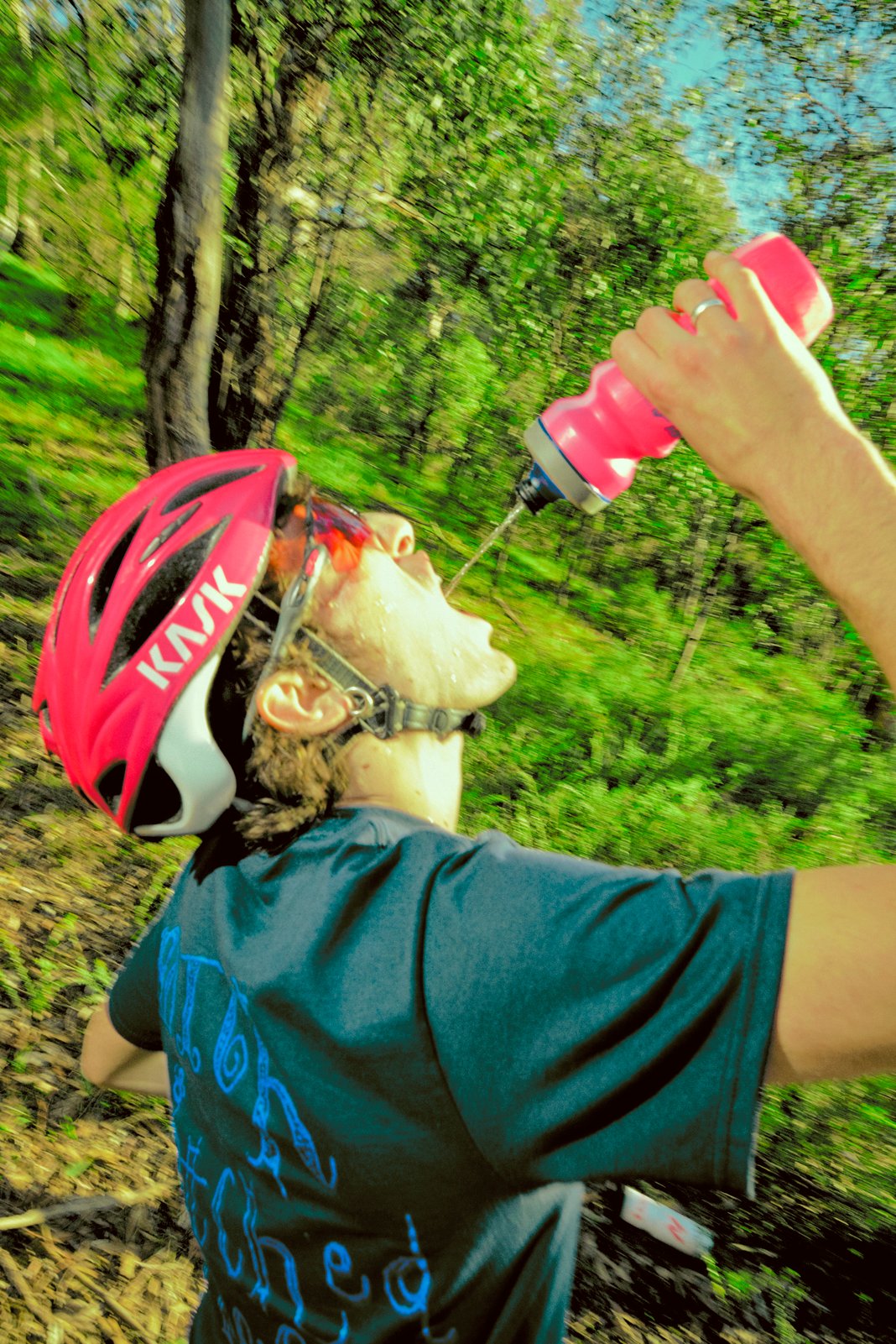 Slideshow image 5