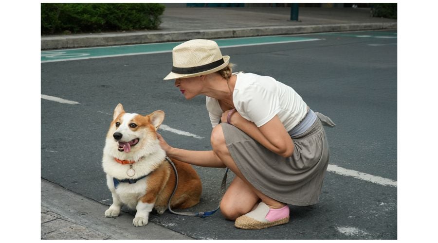 Slideshow image 5