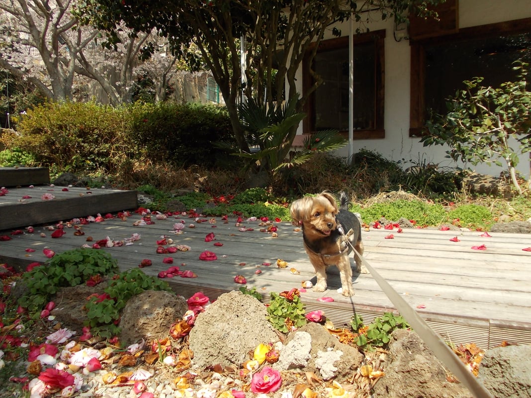 Slideshow image 3