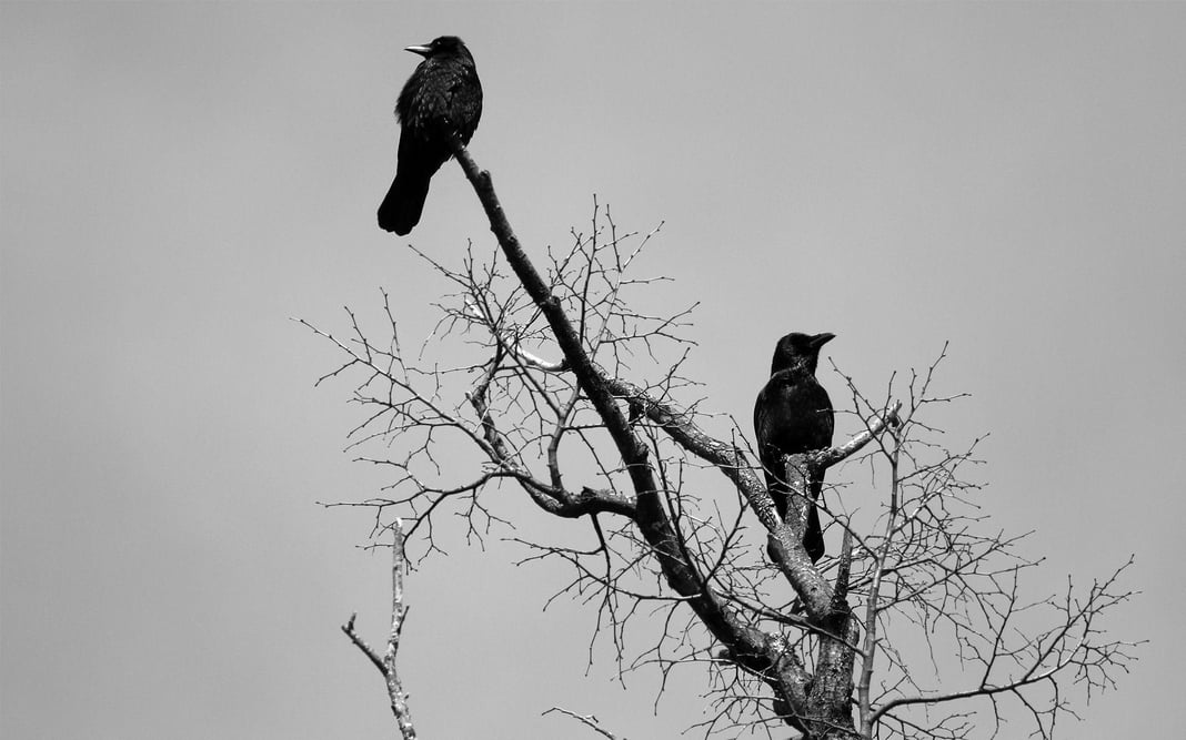 Slideshow image 1