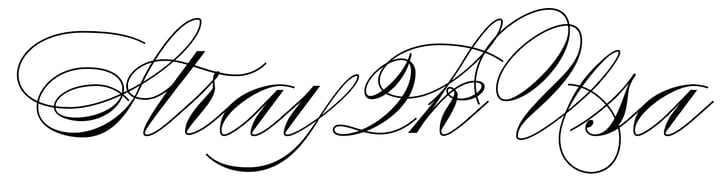 Stray2kUsa Home