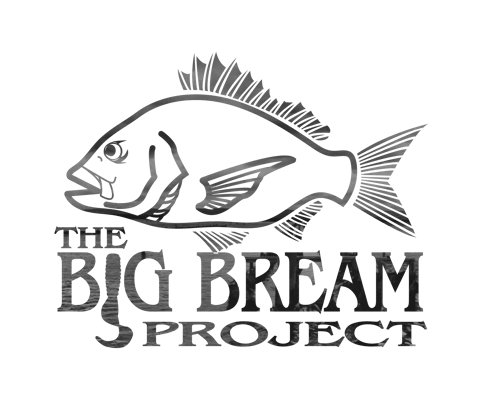The Big Bream Project Home