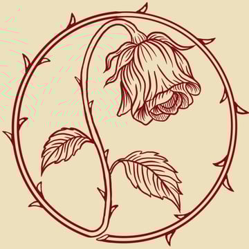 The Wilted Rose Co. Home