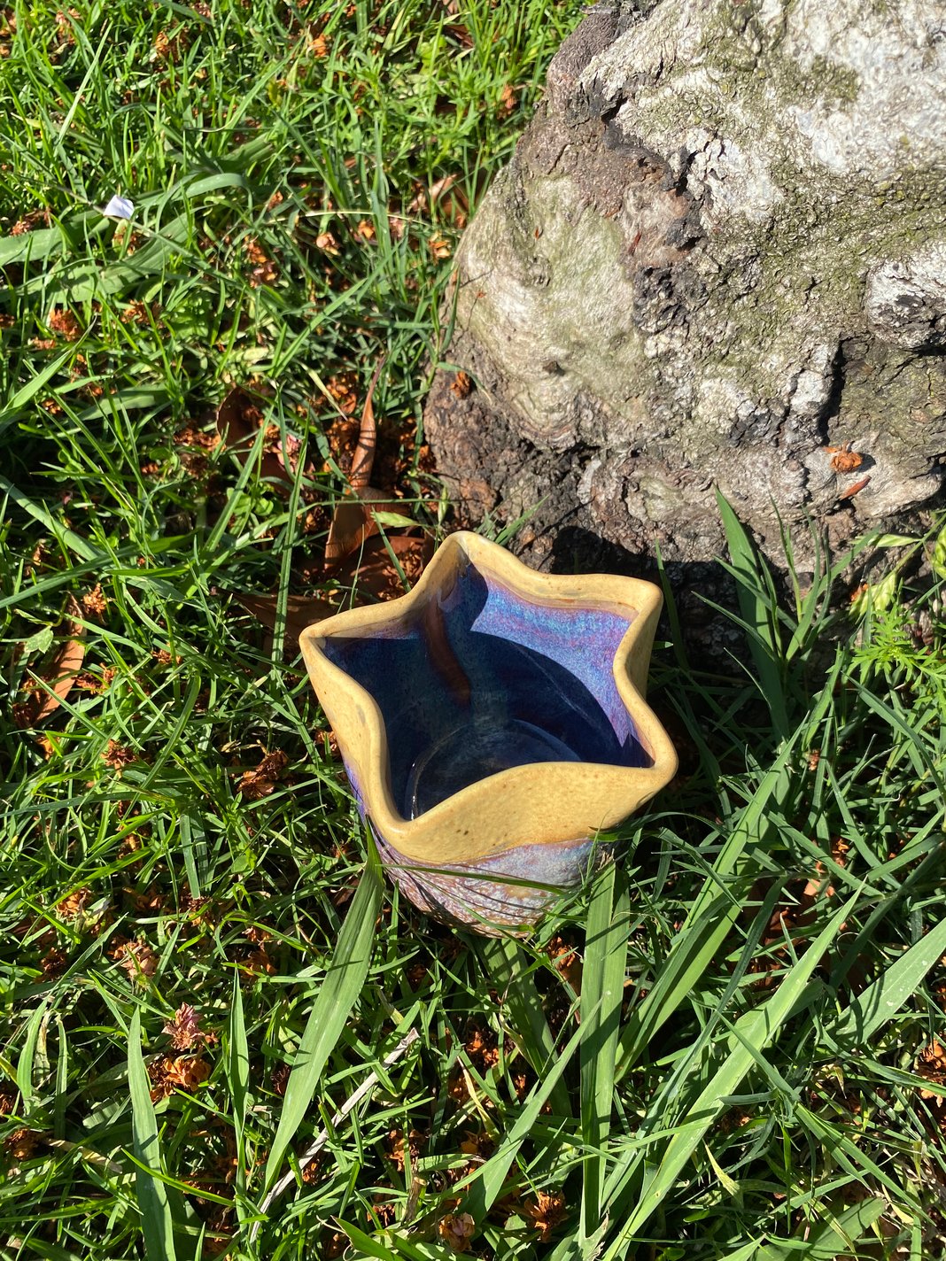 Slideshow image 2