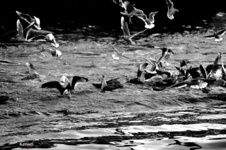Slideshow image 2