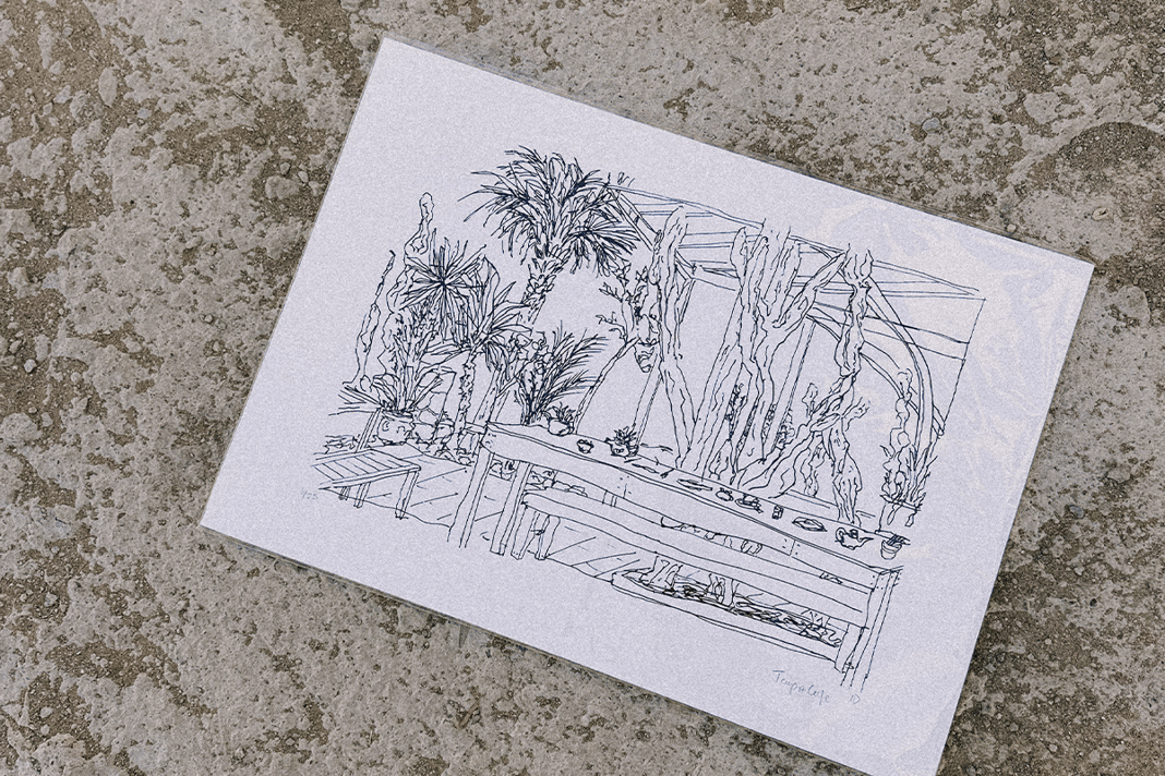 Slideshow image 9