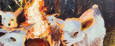 Slideshow image 2