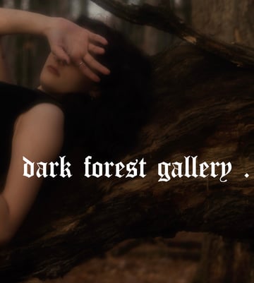 dark forest gallery Home