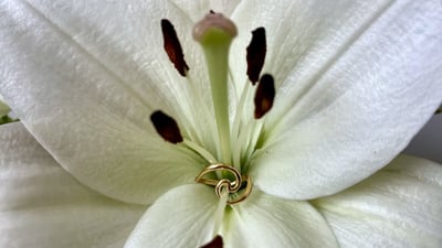 Slideshow image 1