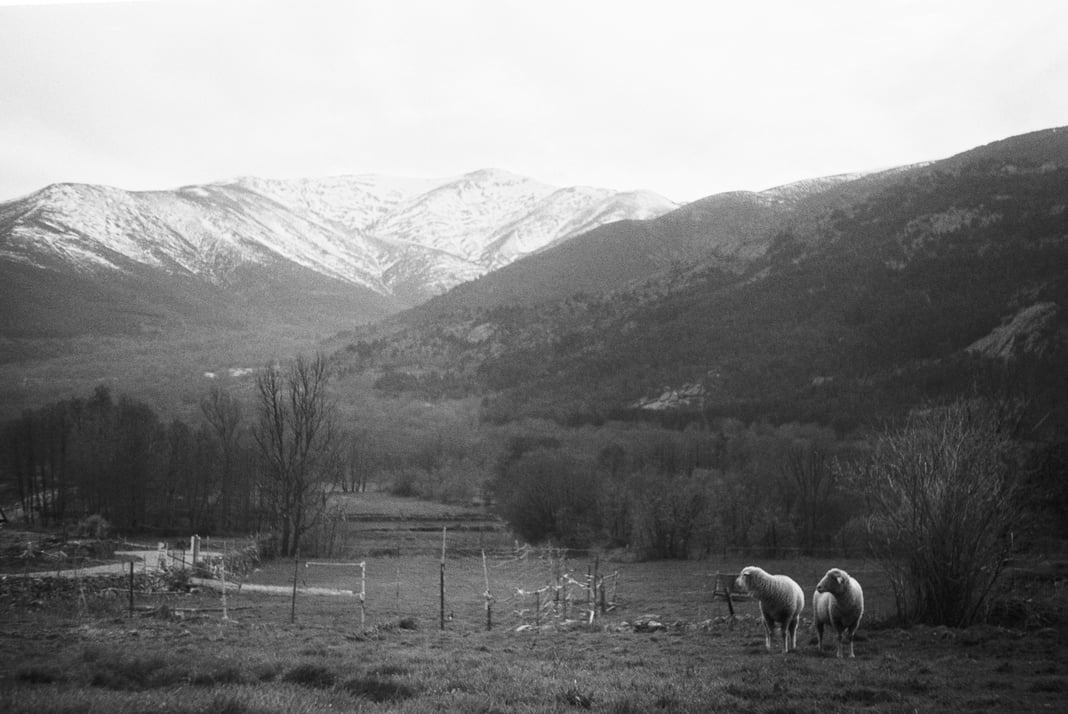 Slideshow image 2