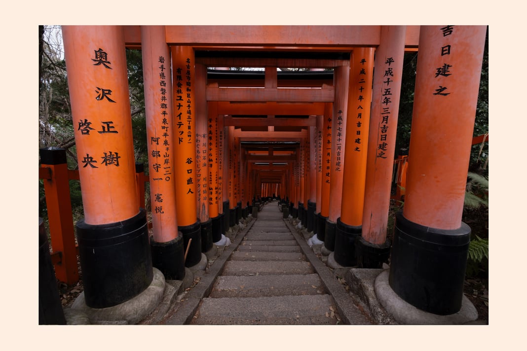 Slideshow image 14