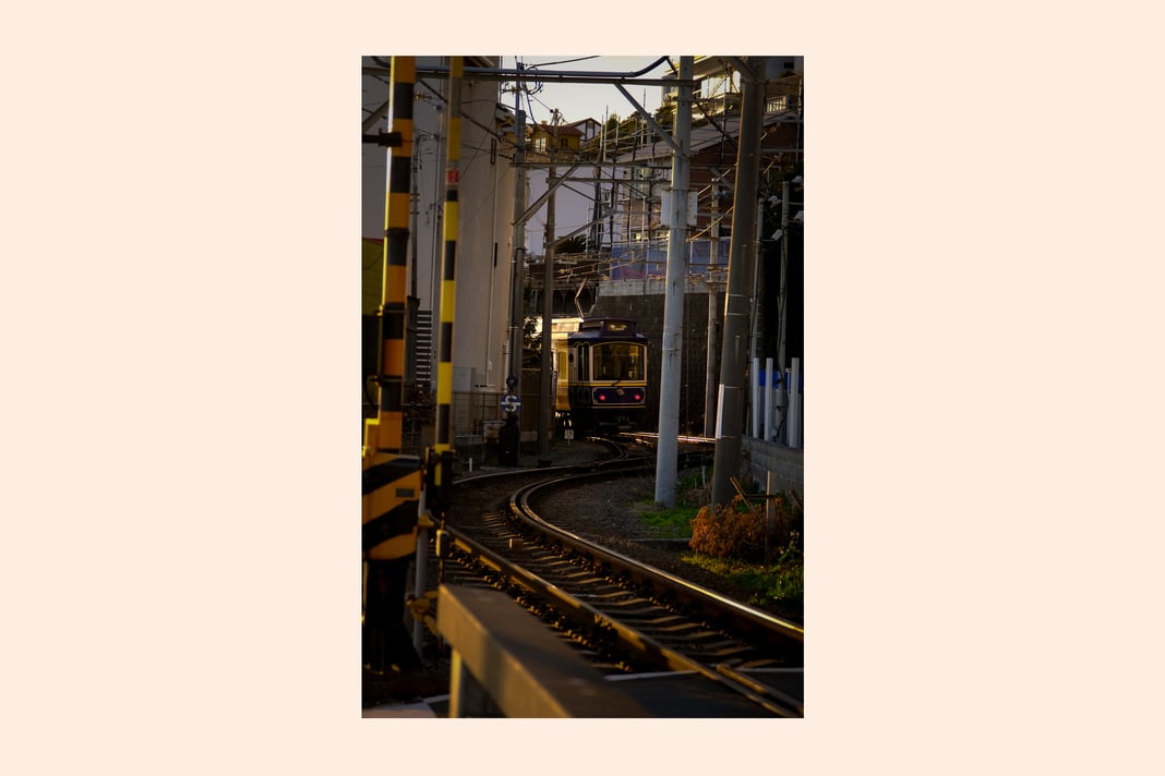 Slideshow image 7