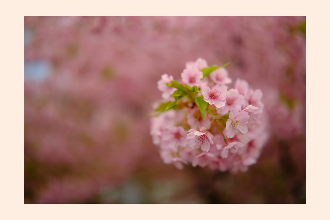 Slideshow image 1