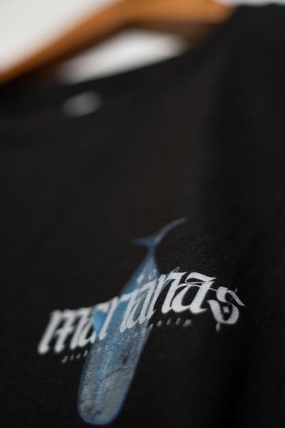 Slideshow image 3