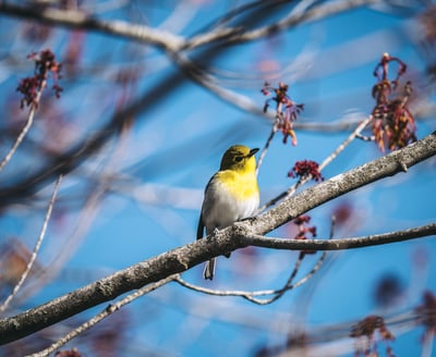 Slideshow image 1