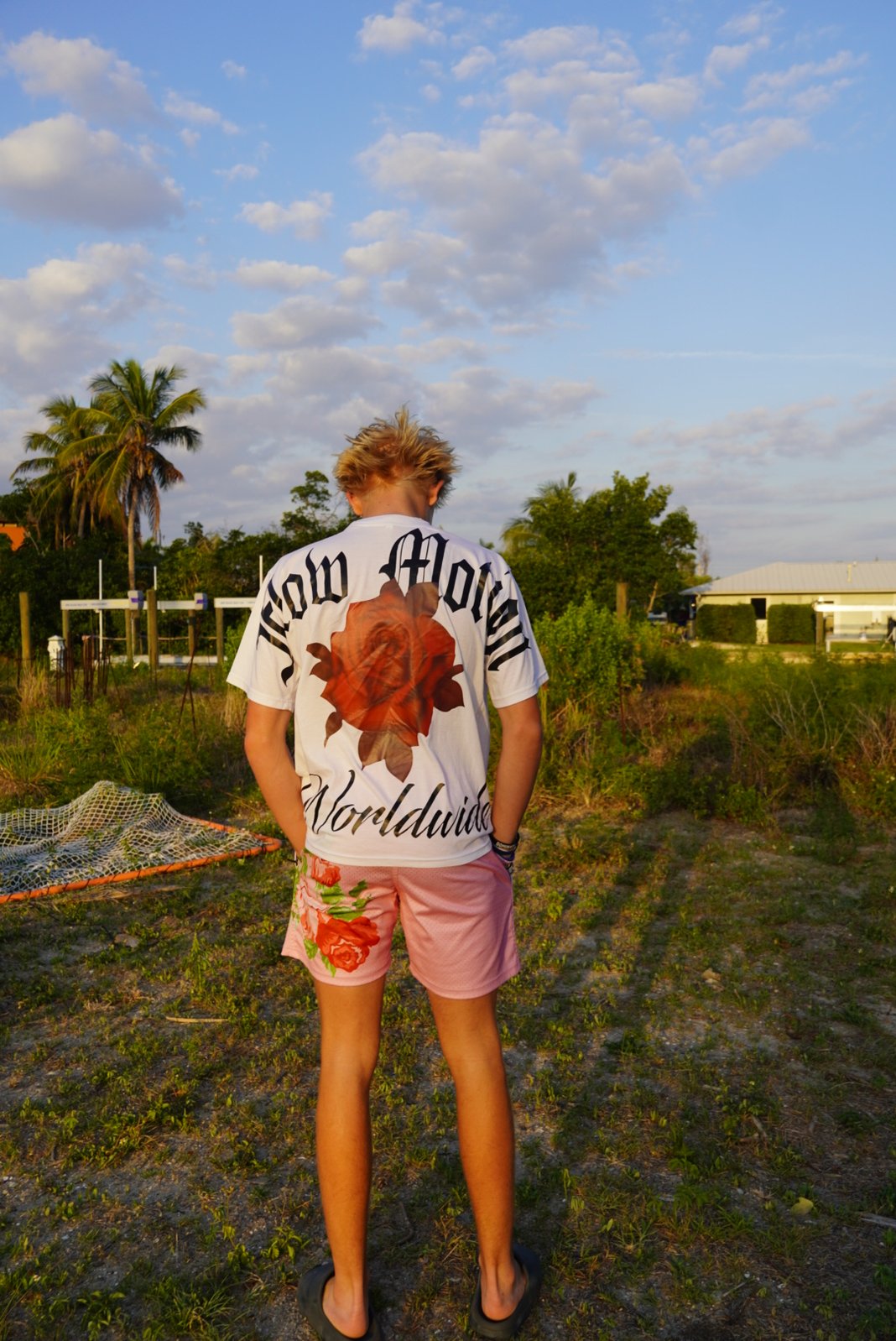 Slideshow image 5