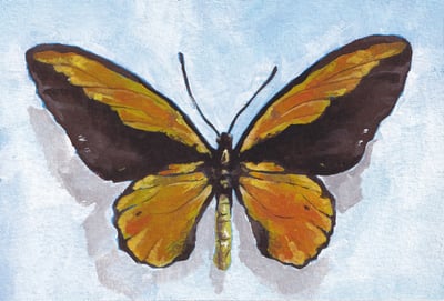 Slideshow image 3
