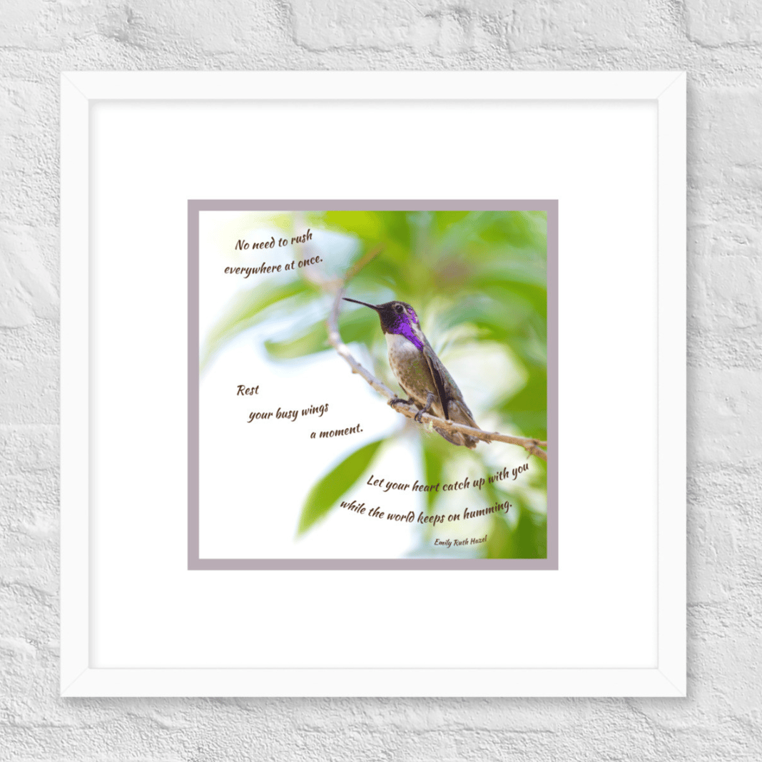 Slideshow image 12