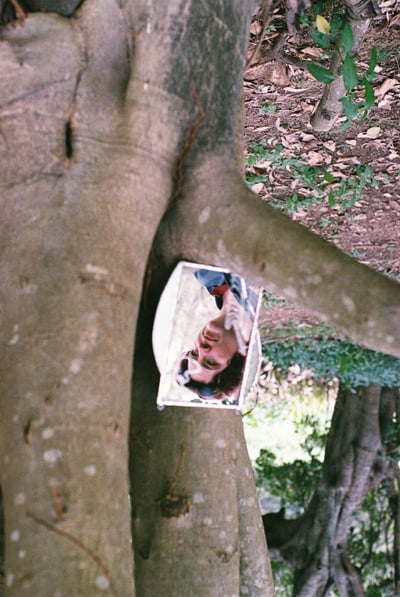 Slideshow image 2