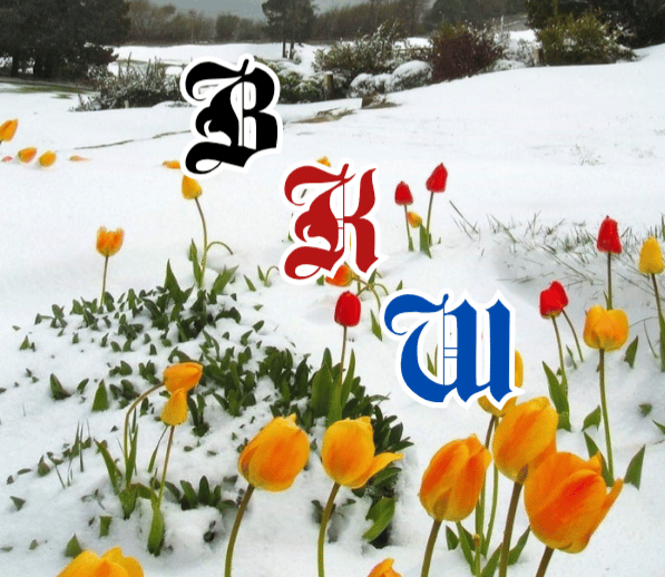 Promo image