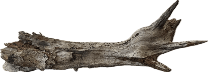 Somebody's Bone Home