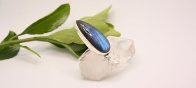 Slideshow image 2