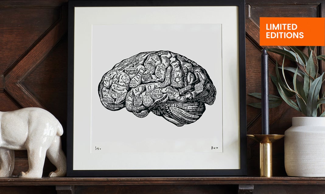 Slideshow image 6