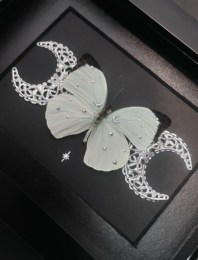 Slideshow image 4