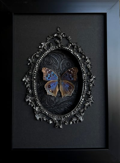 Slideshow image 11