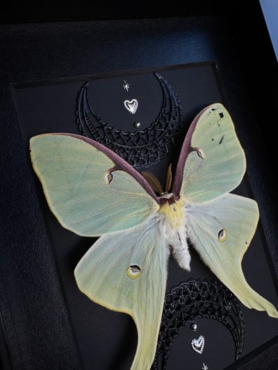 Slideshow image 19