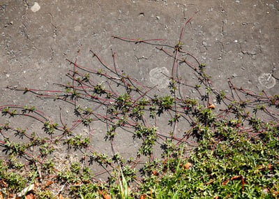 Slideshow image 1