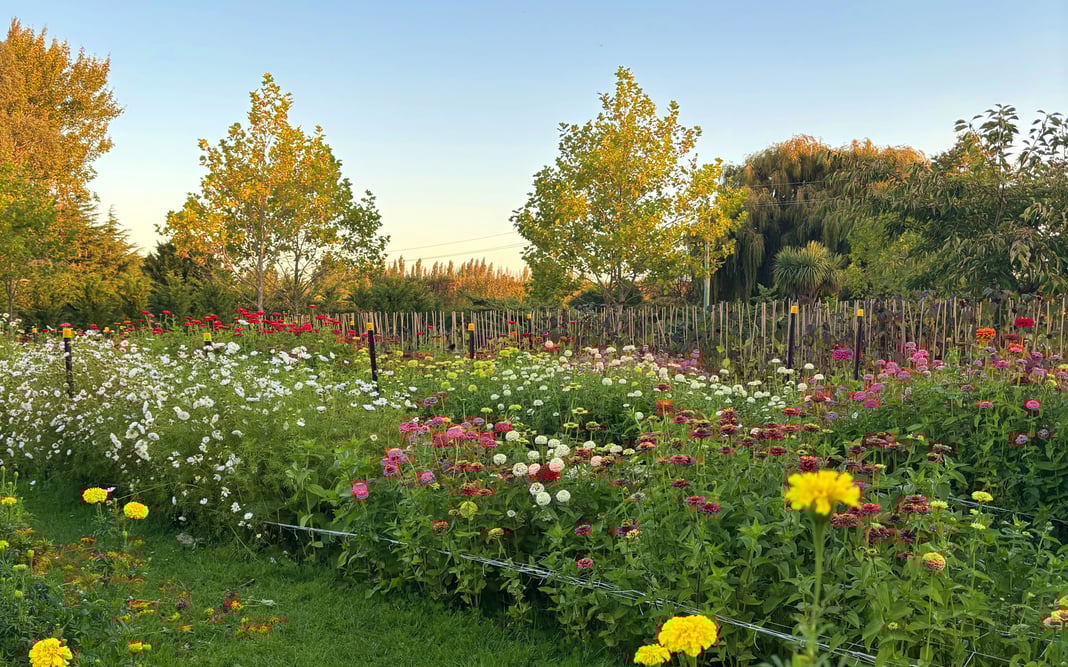 Slideshow image 1